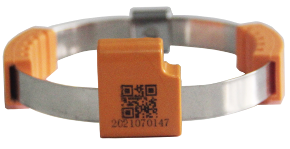 63847466e681e.png 63847466e681e.png